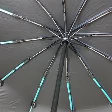 BMW Motorsport 12-Sticks Automatic Umbrella