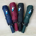 BMW Motorsport 12-Sticks Automatic Umbrella