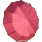 BMW Motorsport 12-Sticks Automatic Umbrella